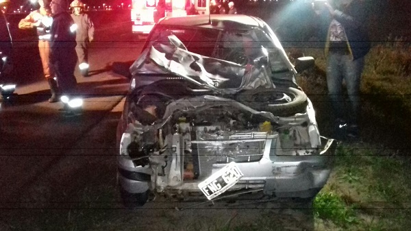 Un auto atropelló un caballo en ruta 3 norte