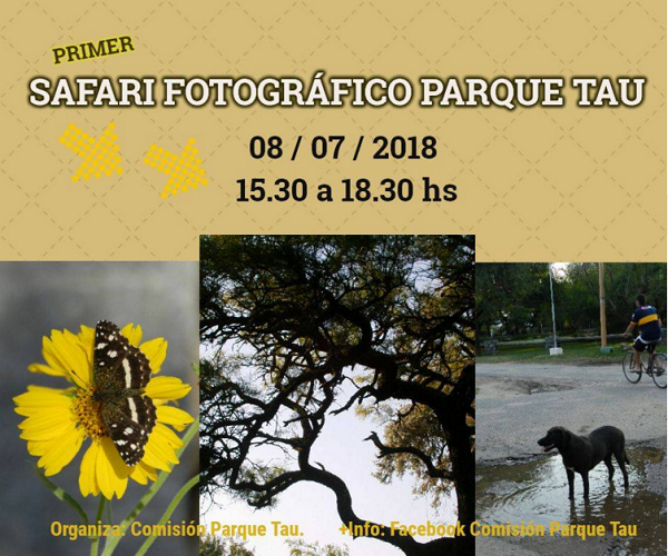 Safari Fotográfico en el Parque Tau