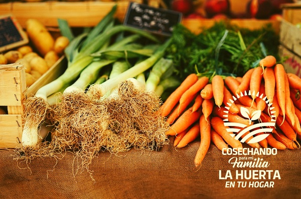 Huerta en tu hogar: la primera etapa cerró con 80 mil pedidos de semillas