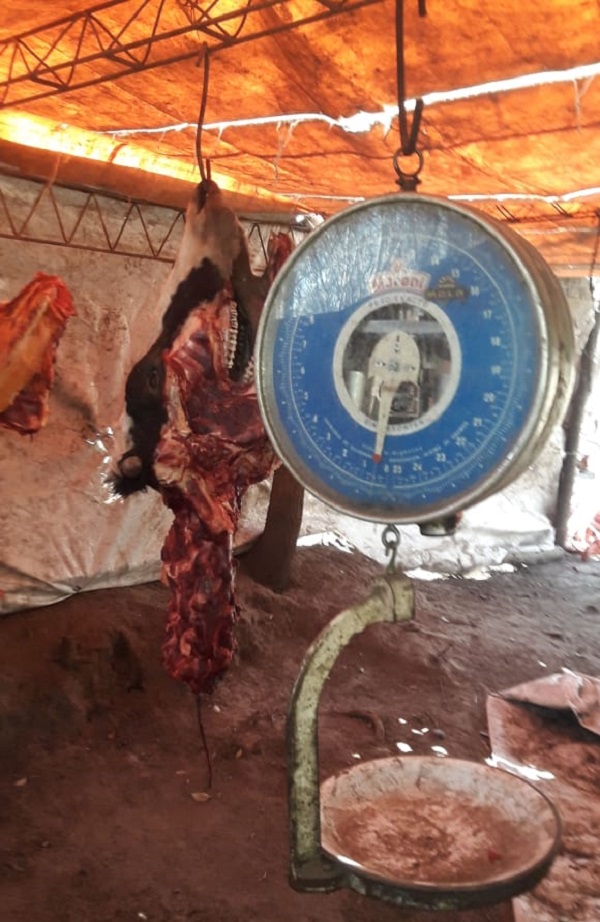 Ordoñez: investigan faena y comercialización clandestina de carne vacuna.