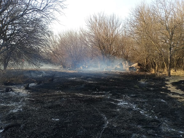 Intensa actividad de Bomberos en Bell Ville.