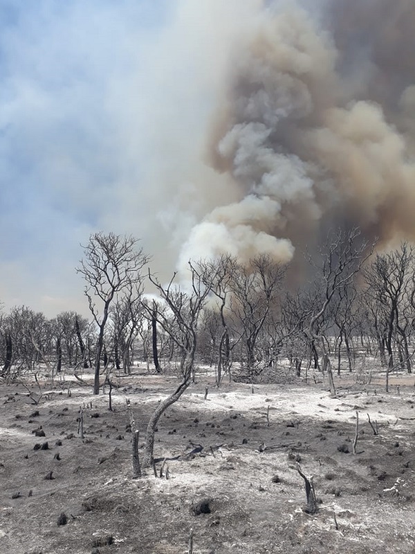 Incendio en Salsacate, el fuego no se detiene.