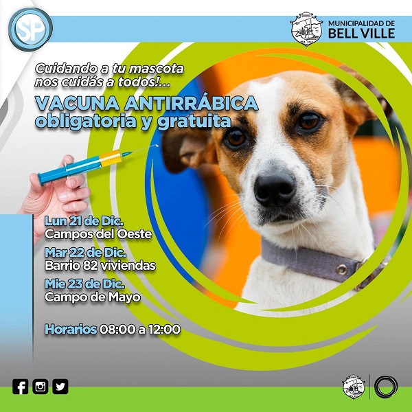 Campaña de vacunación antirrábica de perros y gatos.