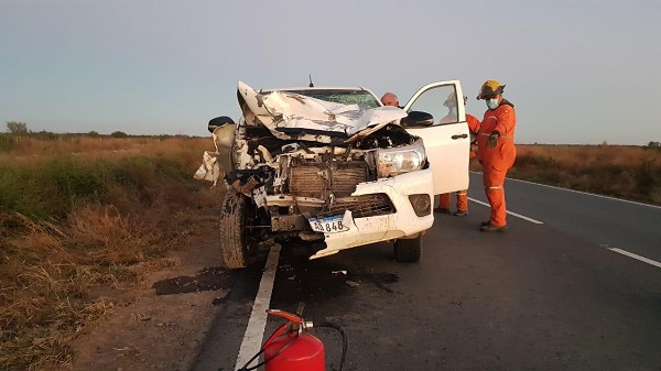 Bell Ville: nuevamente un caballo suelto provoca un grave accidente en el acceso oeste de la ciudad.