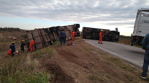 Bell Ville: vuelco de un camión cargado con vacas.
