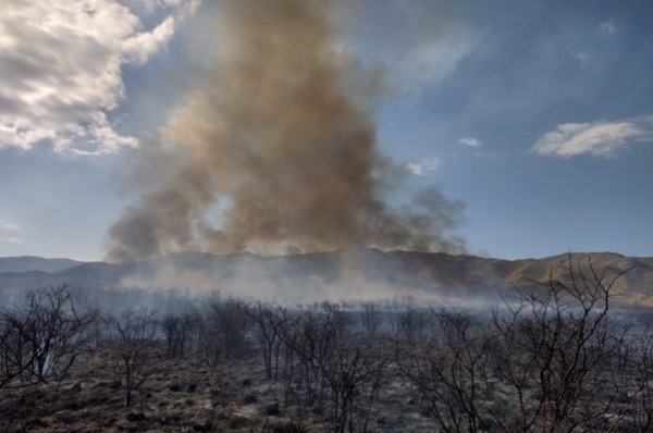 Bomberos lograron contener un incendio al norte de Cosquín.