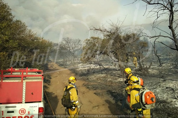 Incendios forestales: cómo prevenirlos.
