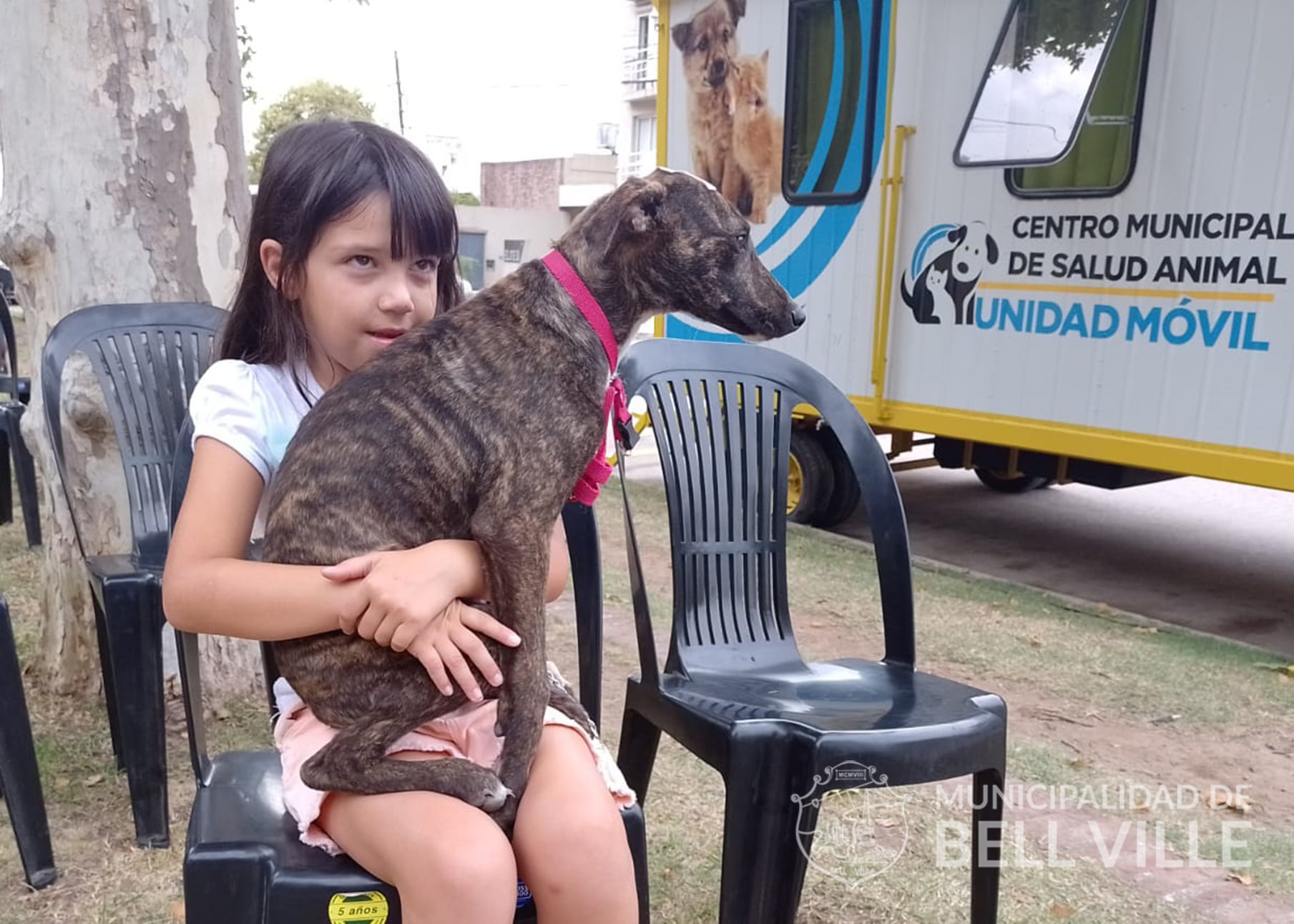Bell Ville: ésta semana el Castrador Móvil estará en la Estación del Ferrocarril.