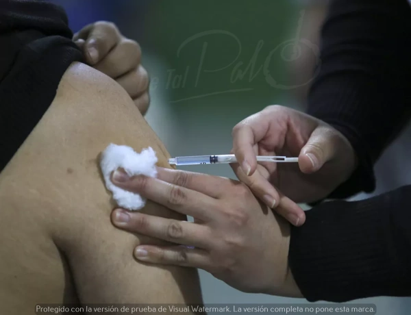 El Ministerio de Salud de la nación inició la distribución de la vacuna antigripal