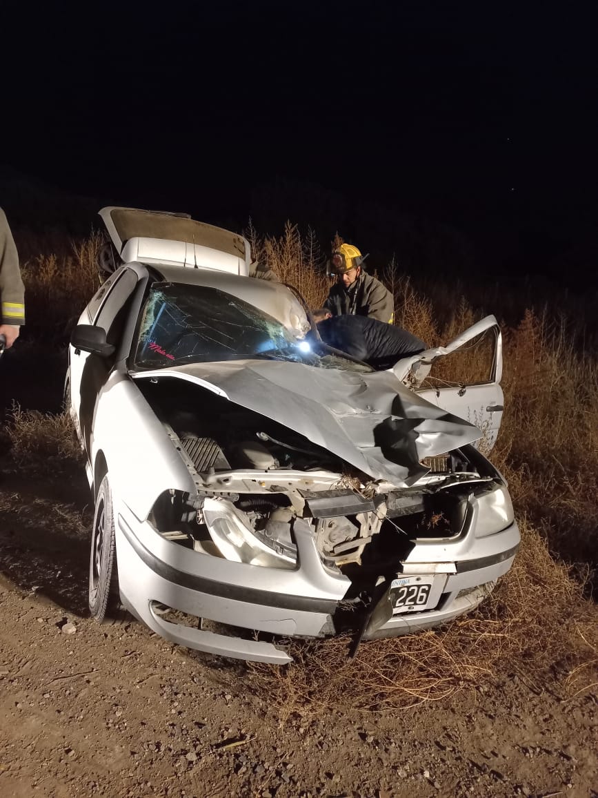 Bell Ville: otra vez un caballo suelto en la ruta provoca un grave accidente!