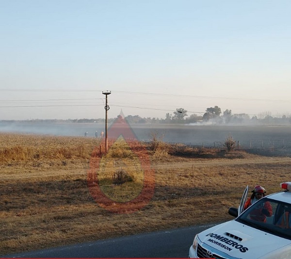 Bell Ville: intensa actividad en incendio forestal.
