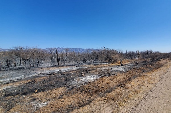 No habría focos activos en la provincia