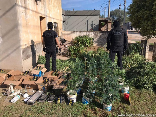 San Marcos Sud: detienen a una persona con más de 14.000 dosis de marihuana en su domicilio.
