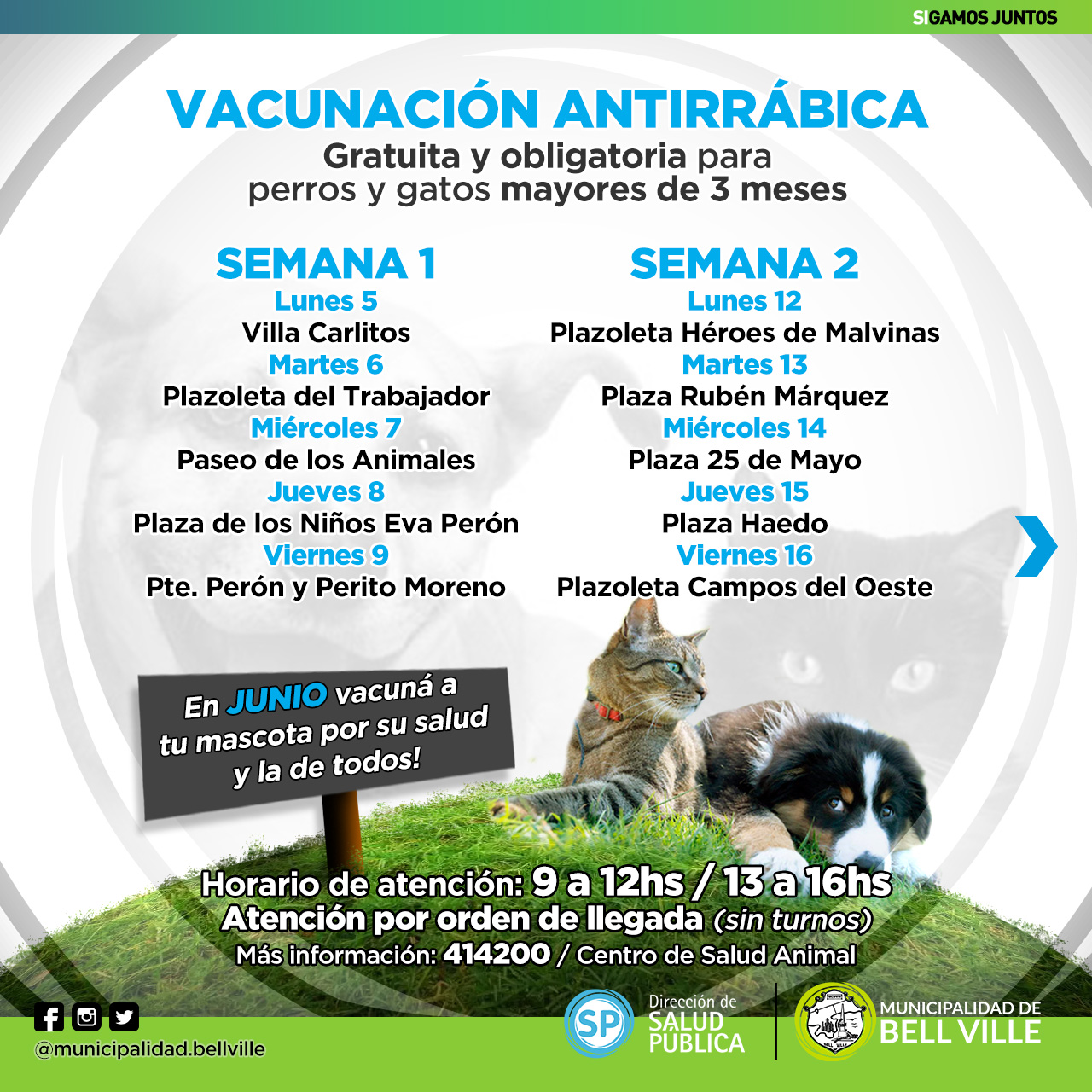 Bell Ville: Vacunación Antirrábica gratuita y obligatoria.