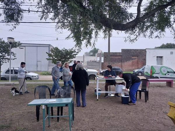 Bell Ville: operativo de vacunación antirrábica para perros y gatos.