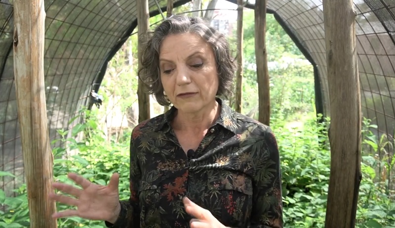 Bell Ville y la Ciencia: La bellvillense Sandra Díaz nuevamente distinguida  por la Fundación Konex.