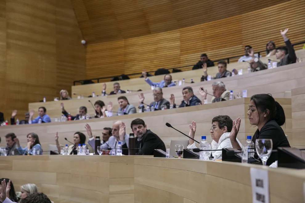 Presentan en la Legislatura un proyecto de declaración rechazando expresiones de Milei