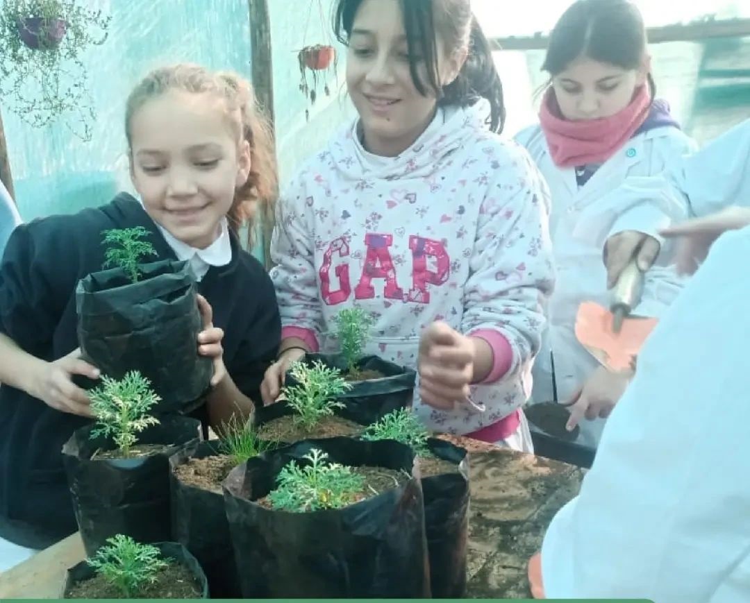 Morrison: el Jardín Botánico municipal recibe a estudiantes.