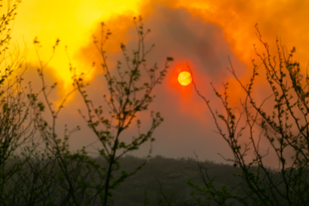 Incendios: Continúa el combate en El Durazno y fueron contenidos los demás focos.