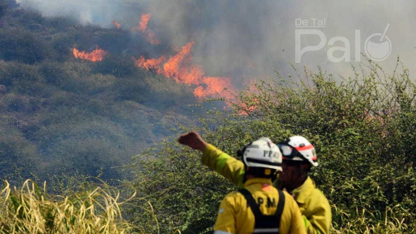 Declaran el Estado de Alerta Ambiental por riesgo de incendios.